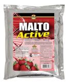 Malto Active - Pacote 1000g - Morango